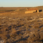 Gallocanta (Aragon - Espagne)