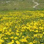 West Coast National Park