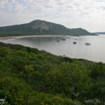 Lagune (West Coast National Park, Afrique du Sud)