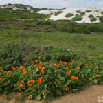 West Coast National Park