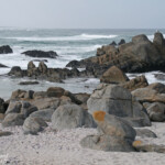 West Coast National Park