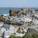 West Coast National Park