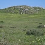 West Coast National Park