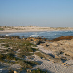 West Coast National Park