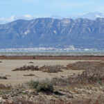 Delta de l'Ebre - Punta de la Banya