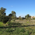Deltebre, jardins