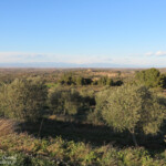 Castelldans