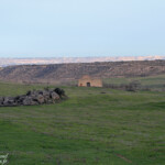 Castelldans