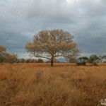 Photothèque Afrique du Sud Svg+xml,%3Csvg%20xmlns%3D%22http%3A%2F%2Fwww.w3