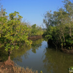 Mtuzini