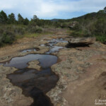 Plaine des Maures (83)