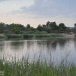 Lac des Escarcets, Plaine des Maures (83)