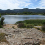 Lac des Escarcets, Plaine des Maures (83)