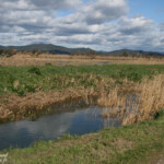 La Lieurette
