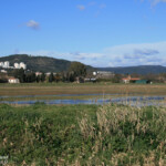 La Lieurette