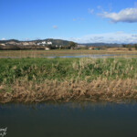 La Lieurette