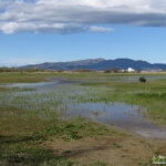 El Mata, Aiguamolls