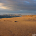 Plage de Badia de Rosas, Aiguamolls