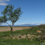 Vilaüt, Aiguamolls