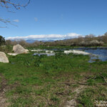 Vilaüt, Aiguamolls