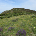 Cap de Creus, mai 2015