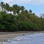 Anse Couleuvre (Martinique)