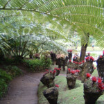 Jardins de Balata (Martinique)