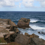 Savanes pétrifiées (Martinique)