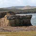 Savanes pétrifiées (Martinique)