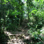 Trace des Jésuites (Martinique)