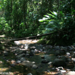 Trace des Jésuites (Martinique)