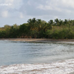 Anse Couleuvre (Martinique)