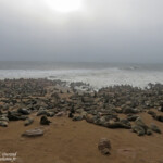 Cap Cross, Namibie
