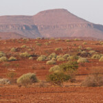 Paysages près de Palmwag