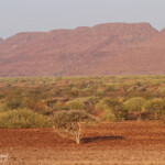 Paysages près de Palmwag