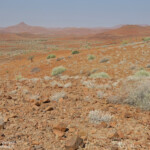 Damaraland