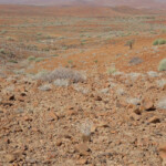 Damaraland