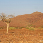 Paysages près de Palmwag