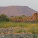 Lit de rivière près de Palmwag