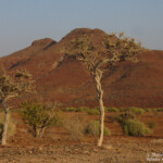 Paysages près de Palmwag