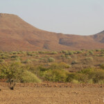 Paysages près de Palmwag