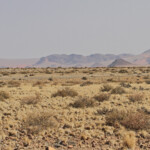 Désert du Namib