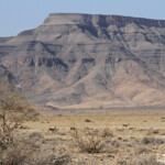Désert du Namib