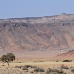 Désert du Namib