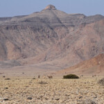 Désert du Namib