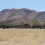 Paysages au sud de Windhoek