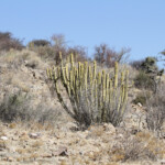 Paysages au sud de Windhoek