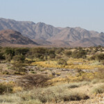 Paysages au sud de Windhoek