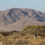 Paysages au sud de Windhoek
