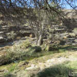 Paysages au sud de Windhoek